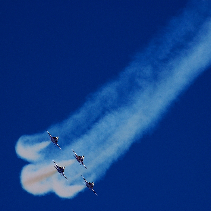 55_Axalp_Patrouille Suisse_F-5E Tiger.jpg